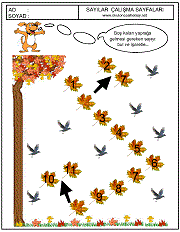 okul öncesi sıradaki sayıyı bulma çalışma sayfaları